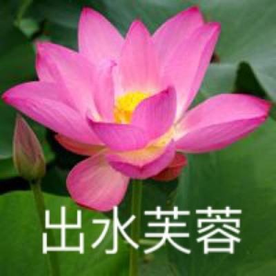 激萌骑士团手游